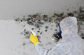 Best Comprehensive Air Testing for Mold Contaminants  in Millport, AL